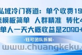 私域冷门赛道单个收费198米引流模板简单人群精准 45%的转化率单人一天大概收益多张