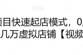 虚拟项目快速起店模式，0成本打造月入几万虚拟店铺【视频课程】