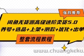 （3662期）闲鱼无货源高级进阶卖货5.0，养号+选品+上架+测款+优化+出单整套流程教程