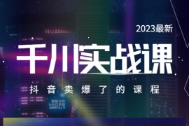 （5877期）2023最新千川实操课，抖音卖爆了的课程（20节视频课）