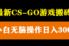 （5760期）最新csgo游戏搬砖游戏，无需挂机小白无脑也能日入300+