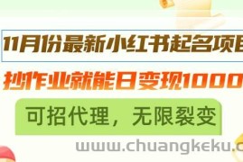 （13256期）11月份最新小红书起名项目，抄作业就能日变现1000+，可招代理，无限裂变