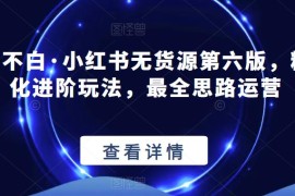 【推荐】绅白不白·小红书无货源第六版，精细化进阶玩法，最全思路运营