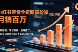 （16842期）小红书带货全链路高阶课，选品爆破、笔记裂变、直播推广，实现多店月销百万(更新25年12月)