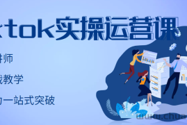 （2957期）TikTok实操运营课，手把手账号实战，适合零基础Tiktok新人