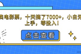 （16373期）靠卖电影票，十天搞了7000+，小白无门槛上手，零投入！