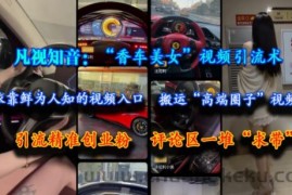 凡视知音：“香车美女”视频引流术，依靠鲜为人知的视频入口，搬运“高端圈子”视频，引流精准创业粉，评论区一堆“求带”