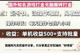 （13307期）国外知名游戏打金无脑搬砖单机收益500，每天操作七到八个小时