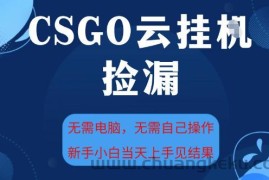 CSGO云挂G全自动捡漏，最新独家玩法，无需电脑操作，新手小白日入5张+【揭秘】