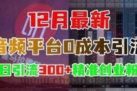 12月最新：音频平台0成本引流，日引流300+精准创业粉