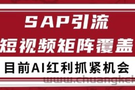 小红书某音sap赛道引流获客 自热矩阵日引200+【揭秘】