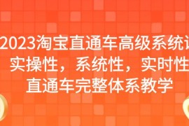 （6535期）2023淘宝直通车高级系统课，实操性，系统性，实时性，直通车完整体系教学