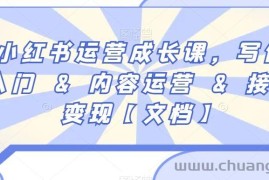 小红书运营成长课，写作入门&amp;内容运营&amp;接广变现【文档】