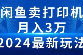 （10091期）2024闲鱼卖打印机，月入3万2024最新玩法