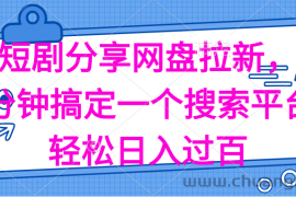 （11611期）分享短剧网盘拉新，十分钟搞定一个搜索平台，轻松日入过百