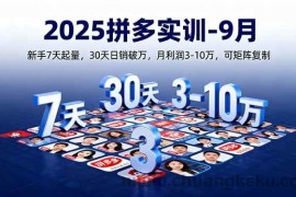 （16008期）2025拼多多实训-9月：新手7天起量,30天日销破万,月利润3-10万,可矩阵复制