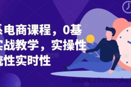 淘系电商课程，0基础实战教学，实操性系统性实时性