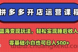 拼多多开店运营课程：蓝海变现玩法，轻松实现睡后收入，零基础小白也可日入5张
