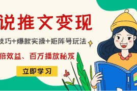 （4569期）小说推文训练营：引流技巧+爆款实操+矩阵号玩法，百倍效益、百万播放秘笈