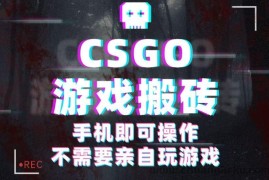 CSGO游戏挂机捡漏，单日扫货500+，年底小高峰上车可吃肉，手机即可操作兼职副业