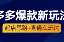 （6028期）2023拼多多爆款·新玩法：起店思路+直通车玩法（3节精华课）