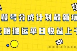 视频号最新爆火赛道玩法，只需无脑搬运，轻松过原创，单日收益上千【揭秘】