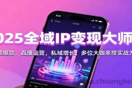 2025全域IP变现大师课：短视频爆款，直播运营，私域增长，多位大咖亲授实战方法论