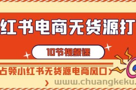 小红书电商无货源打卡，抢先占领小红书无货源电商风口（10节课）