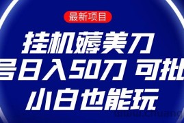 薅羊毛项目  零投入挂机薅美刀    单号日入50刀  可批量  小白也能玩