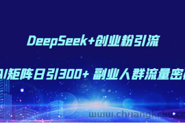 DeepSeek+创业粉引流 AI矩阵日引300+ 副业人群流量密码