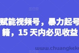 AI赋能视频号，暴力起号秘籍，15 天内必见收益【揭秘】