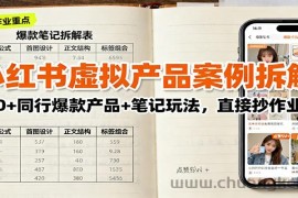 小红书虚拟产品案例拆解：100+同行爆款产品+笔记玩法，直接抄作业