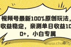 视频号最新100%原创玩法，收益稳定，亲测单日收益1000+，小白专属【揭秘】