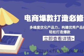 （13689期）电商爆款打造必修课：多维度优化产品力，构建优秀产品梯队，轻松打造爆款