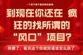 马上26年了，你还在找所谓的风口项目？别傻了，看完这个你全都懂了！【揭秘】