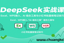 DeepSeek实战课：Excel、WPS接入、AI 组合工具与小红书批量做笔记技巧