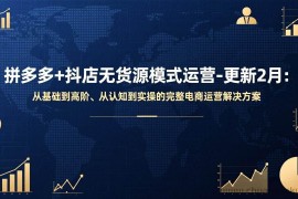 （17367期）拼多多+抖店无货源模式运营-更新2月：从基础到高阶、从认知到实操的完整电商运营解决方案