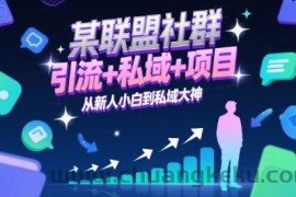 某联盟社群，引流+私域+项目，从新人小白到私域大神