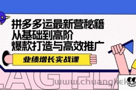 （12260期）拼多多运最新营秘籍：业绩 增长实战课，从基础到高阶，爆款打造与高效推广