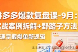 （16176期）拼多多爆款复盘课-9月：实战案例拆解+野路子方法论，快速掌握爆单新逻辑