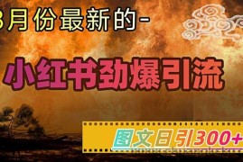 小红书超劲爆引流手段，图文日引300+轻松变现1W