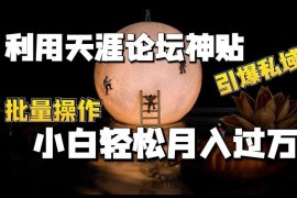 利用天涯论坛神贴，引爆私域，批量操作，小白轻松月入过w【揭秘】