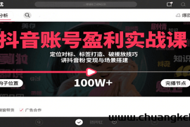 抖音账号盈利实战课，定位对标、标签打造、破播放技巧，讲涨粉变现与场景搭建