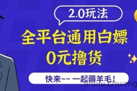 外面收费2980的全平台通用白嫖撸货项目2.0玩法【仅揭秘】