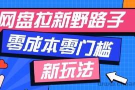 网盘拉新野路子玩法，零成本零门槛多种变现方式，轻松月入万元【保姆级教程】