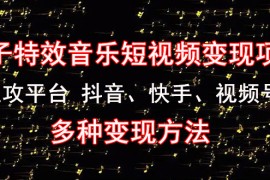 （4586期）《粒子特效音乐短视频变现项目》主攻平台 抖音、快手、视频号 多种变现方法