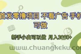 首发零撸项目 不看广告 手机可做 新手小白可以做  月入3k+【揭秘】