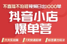 推易电商·2022年抖音小店爆单营【更新11月】，不直播，不拍短视频，日出1000单