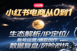 小红书电商从0到1：生态解析/IP定位/ 账号运营/爆款创作/直播带货/数据复盘/风险避坑
