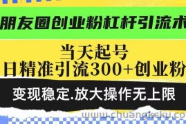 （14200期）朋友圈创业粉杠杆引流术，投产高轻松日引300+创业粉，变现稳定.放大操…